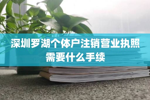 深圳罗湖个体户注销营业执照需要什么手续
