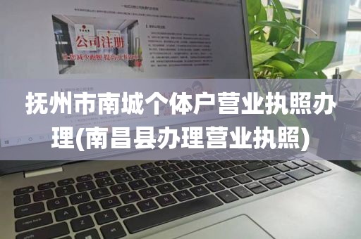 抚州市南城个体户营业执照办理(南昌县办理营业执照)