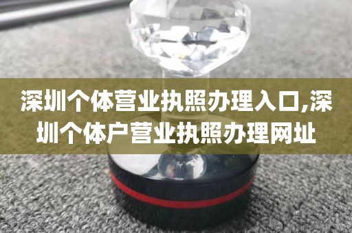 深圳个体营业执照办理入口,深圳个体户营业执照办理网址