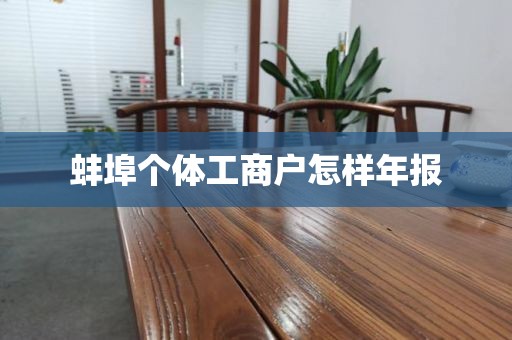 蚌埠个体工商户怎样年报