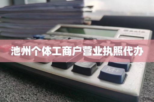 池州个体工商户营业执照代办