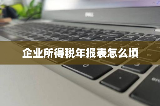 企业所得税年报表怎么填