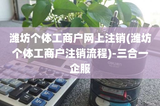 潍坊个体工商户网上注销(潍坊个体工商户注销流程)-三合一企服