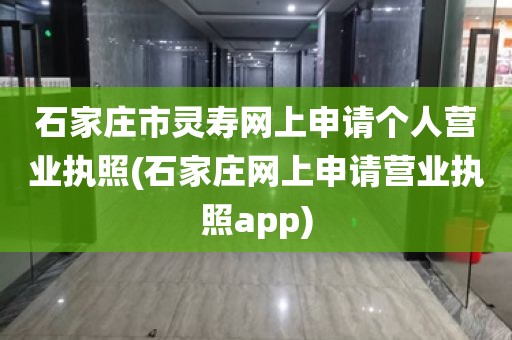 石家庄市灵寿网上申请个人营业执照(石家庄网上申请营业执照app)