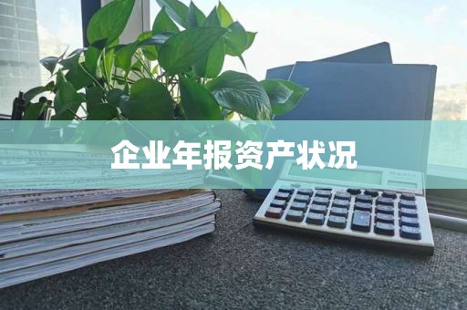 企业年报资产状况