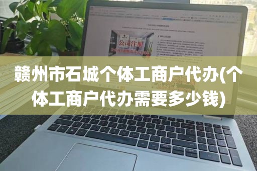 赣州市石城个体工商户代办(个体工商户代办需要多少钱)