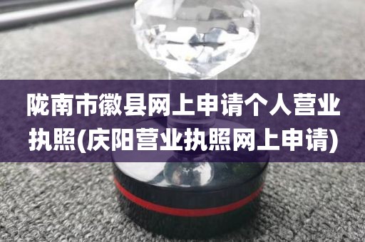 陇南市徽县网上申请个人营业执照(庆阳营业执照网上申请)