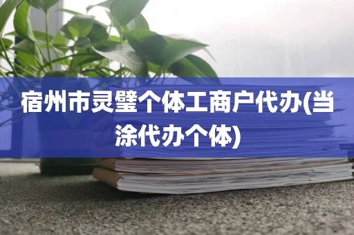 宿州市灵璧个体工商户代办(当涂代办个体)