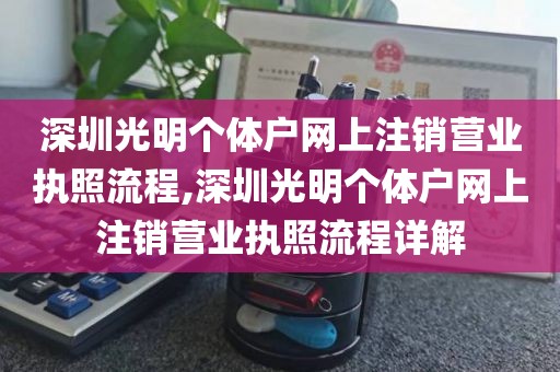 深圳光明个体户网上注销营业执照流程,深圳光明个体户网上注销营业执照流程详解
