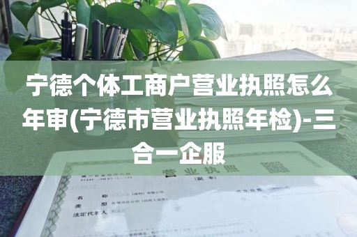 宁德个体工商户营业执照怎么年审(宁德市营业执照年检)-三合一企服