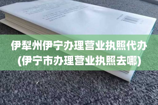 伊犁州伊宁办理营业执照代办(伊宁市办理营业执照去哪)