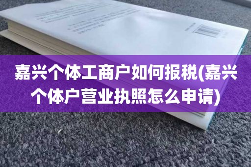 嘉兴个体工商户如何报税(嘉兴个体户营业执照怎么申请)
