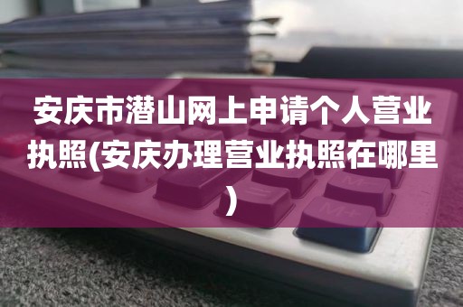 安庆市潜山网上申请个人营业执照(安庆办理营业执照在哪里)