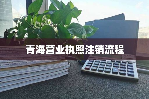 青海营业执照注销流程