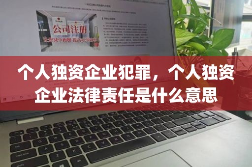 个人独资企业犯罪，个人独资企业法律责任是什么意思