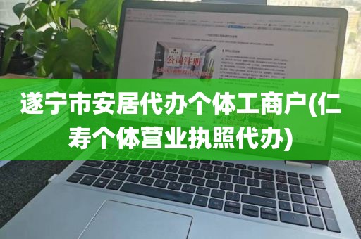 遂宁市安居代办个体工商户(仁寿个体营业执照代办)