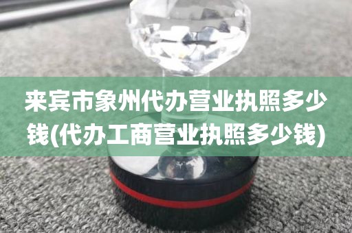 来宾市象州代办营业执照多少钱(代办工商营业执照多少钱)