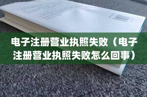 电子注册营业执照失败（电子注册营业执照失败怎么回事）