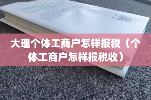 大理个体工商户怎样报税（个体工商户怎样报税收）