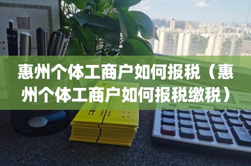 惠州个体工商户如何报税（惠州个体工商户如何报税缴税）