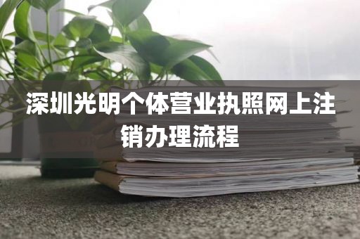 深圳光明个体营业执照网上注销办理流程
