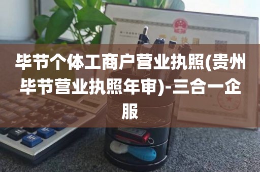毕节个体工商户营业执照(贵州毕节营业执照年审)-三合一企服