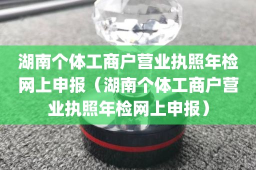 湖南个体工商户营业执照年检网上申报（湖南个体工商户营业执照年检网上申报）