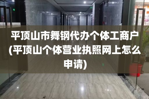 平顶山市舞钢代办个体工商户(平顶山个体营业执照网上怎么申请)