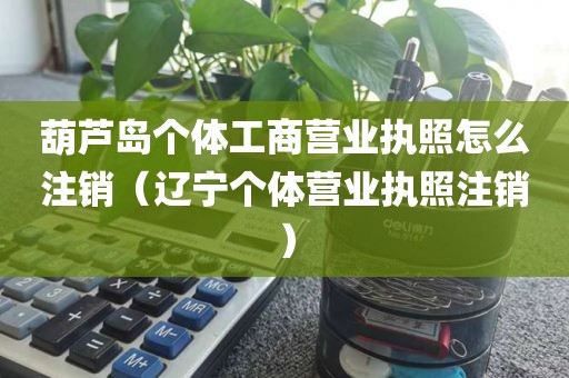 葫芦岛个体工商营业执照怎么注销（辽宁个体营业执照注销）