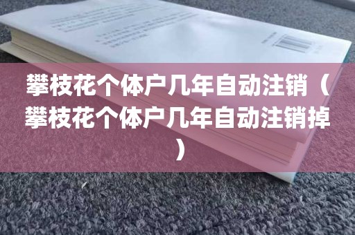 攀枝花个体户几年自动注销（攀枝花个体户几年自动注销掉）