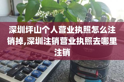 深圳坪山个人营业执照怎么注销掉,深圳注销营业执照去哪里注销
