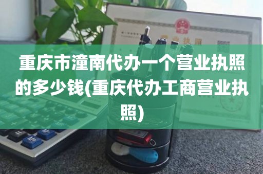 重庆市潼南代办一个营业执照的多少钱(重庆代办工商营业执照)