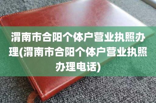 渭南市合阳个体户营业执照办理(渭南市合阳个体户营业执照办理电话)