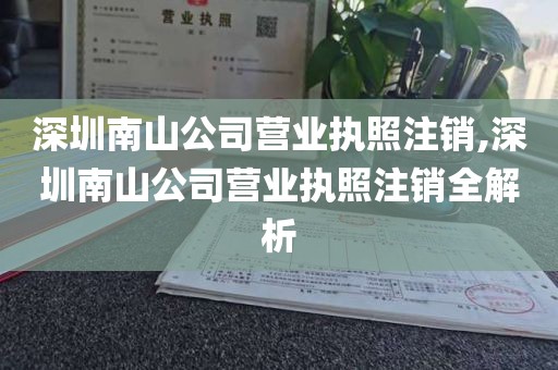 深圳南山公司营业执照注销,深圳南山公司营业执照注销全解析