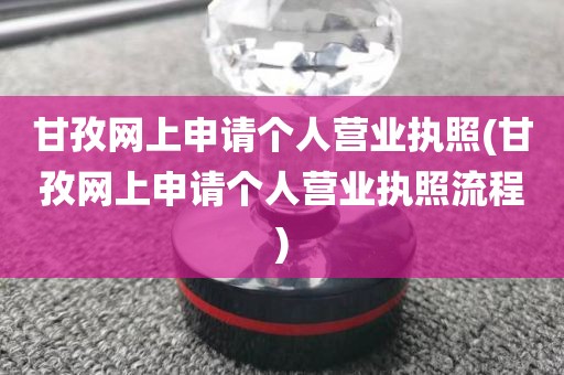 甘孜网上申请个人营业执照(甘孜网上申请个人营业执照流程)