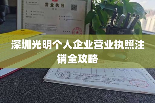 深圳光明个人企业营业执照注销全攻略
