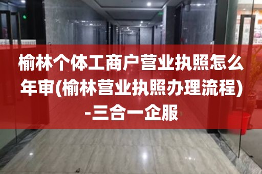 榆林个体工商户营业执照怎么年审(榆林营业执照办理流程)-三合一企服