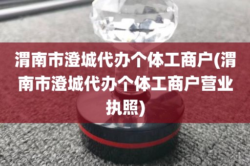 渭南市澄城代办个体工商户(渭南市澄城代办个体工商户营业执照)