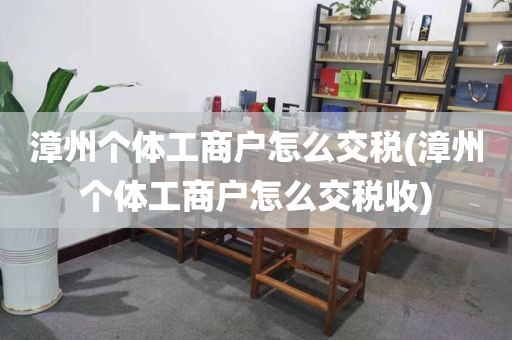 漳州个体工商户怎么交税(漳州个体工商户怎么交税收)