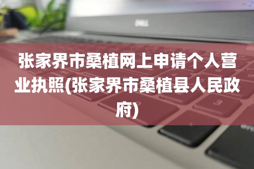 张家界市桑植网上申请个人营业执照(张家界市桑植县人民政府)