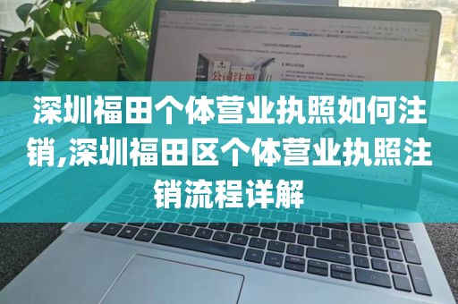 深圳福田个体营业执照如何注销,深圳福田区个体营业执照注销流程详解