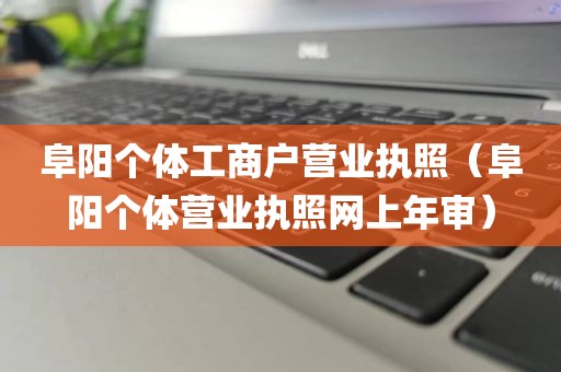 阜阳个体工商户营业执照（阜阳个体营业执照网上年审）