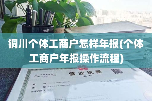 铜川个体工商户怎样年报(个体工商户年报操作流程)