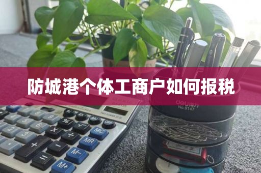 防城港个体工商户如何报税