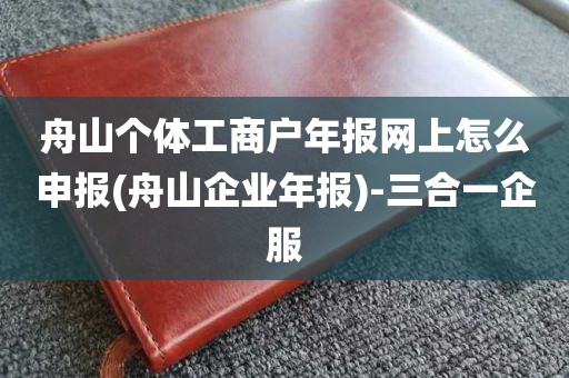 舟山个体工商户年报网上怎么申报(舟山企业年报)-三合一企服