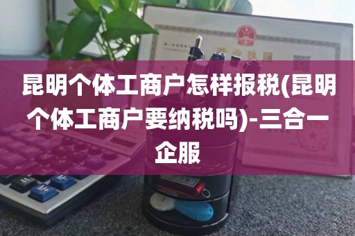 昆明个体工商户怎样报税(昆明个体工商户要纳税吗)-三合一企服