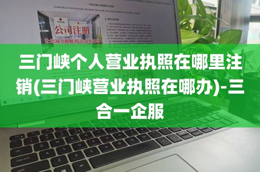 三门峡个人营业执照在哪里注销(三门峡营业执照在哪办)-三合一企服