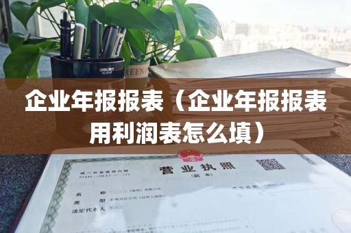 企业年报报表（企业年报报表用利润表怎么填）