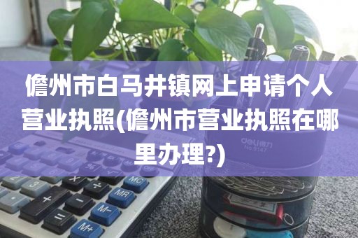 儋州市白马井镇网上申请个人营业执照(儋州市营业执照在哪里办理?)