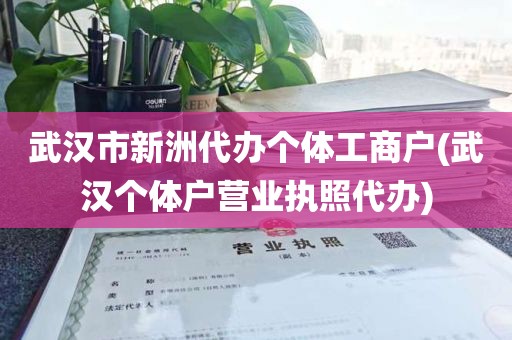 武汉市新洲代办个体工商户(武汉个体户营业执照代办)